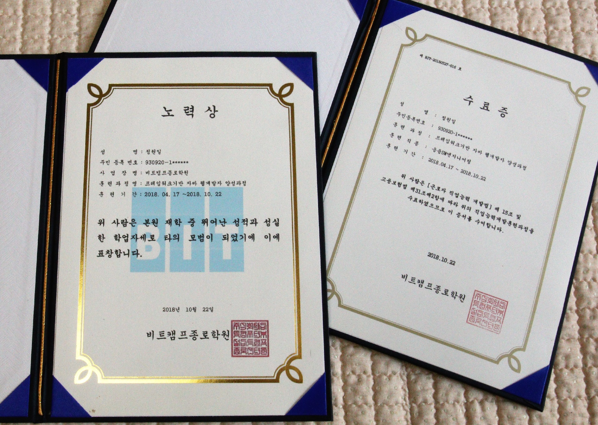 Prize in recognition of my effort.